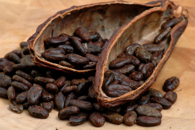 Ресвератрол содержится в какао-бобах