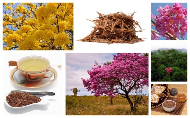 Чай лапачо обладает рядом полезных, лечебных свойств