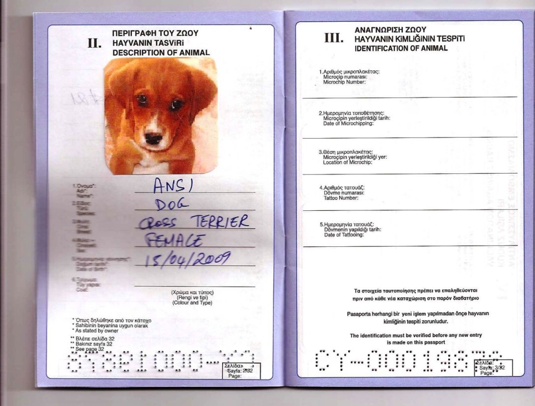 Паспорт щенка