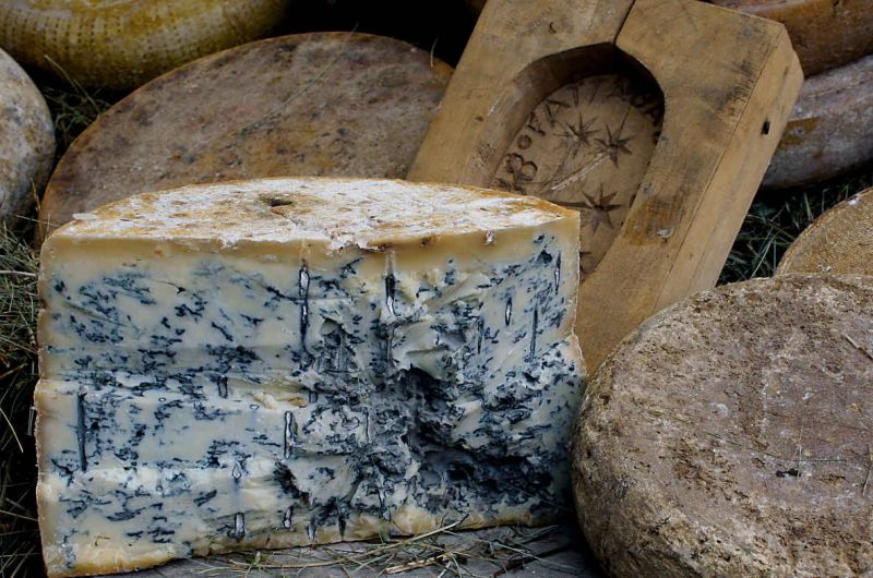 Сыр с плесенью возник еще в XV веке