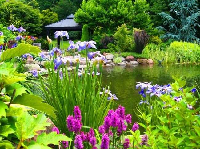 Гармоничное сочетание камня и ярких цветов украсят ваш сад.