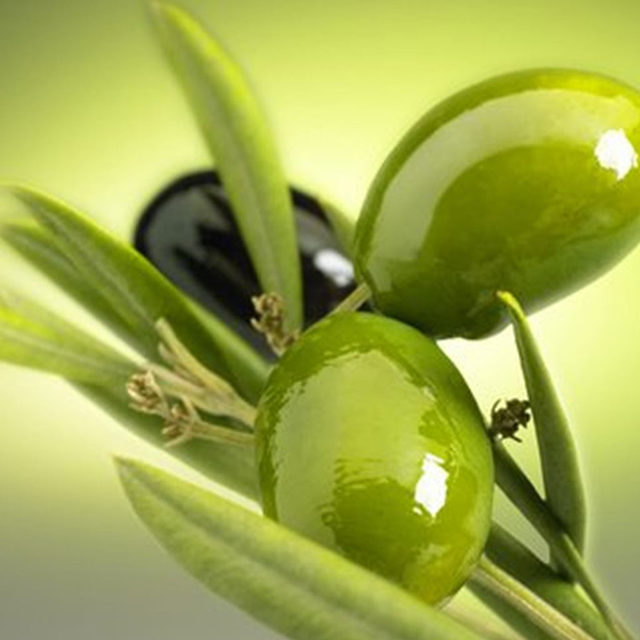 Считается, что оливковому маслу итальянцы обязаны своим крепким здоровьем