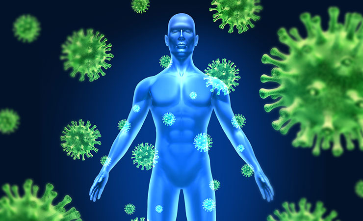 Под воздействием иммуномодуляторов ми становимся неуязвимыми для инфекции