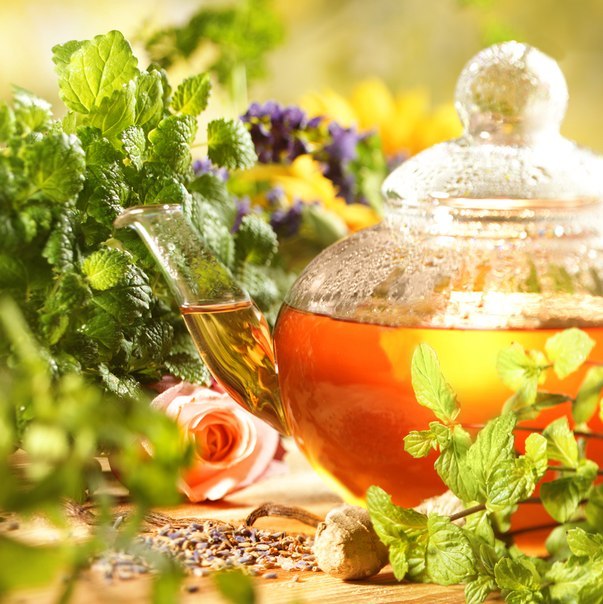 Мятный чай не только окажет гипоаллергенное действие, но и успокоит нервную систему