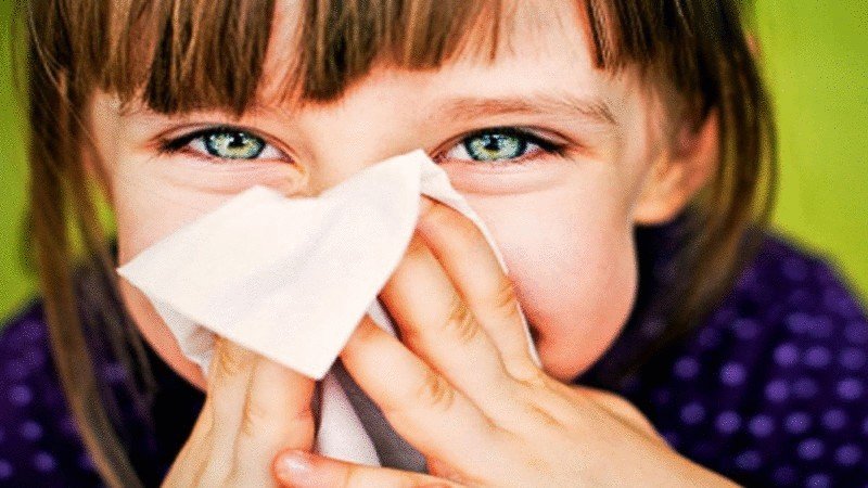 Обильный насморк и чихание являются основными симптомами аллергического ринита