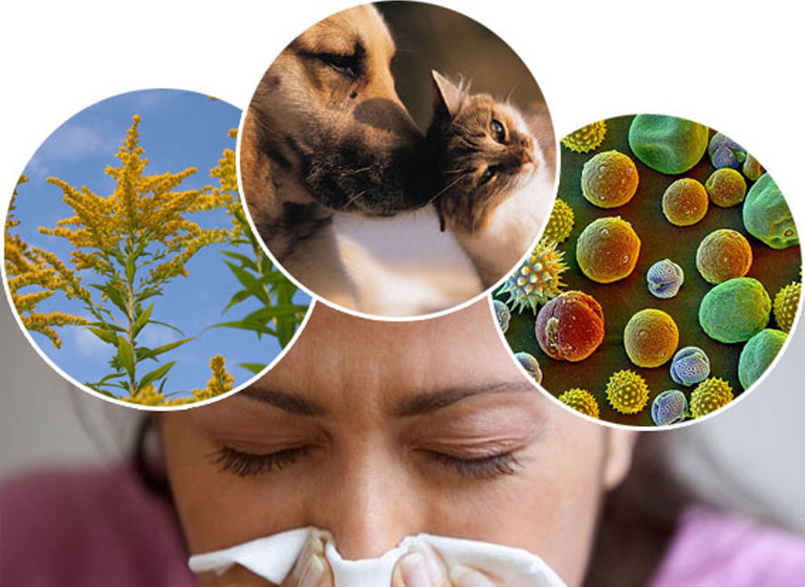 Alergia uvas sintomas