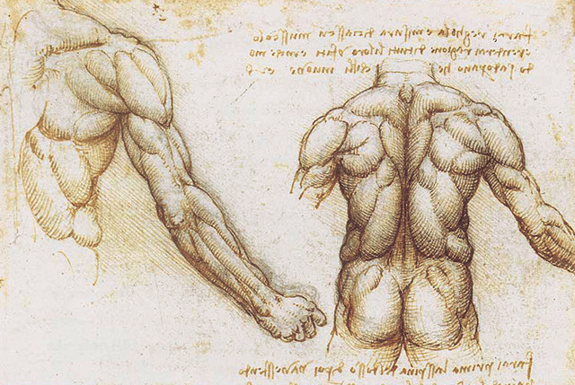 Только знание анатомии позволило Да Винчи создать столь животрепещущие образы