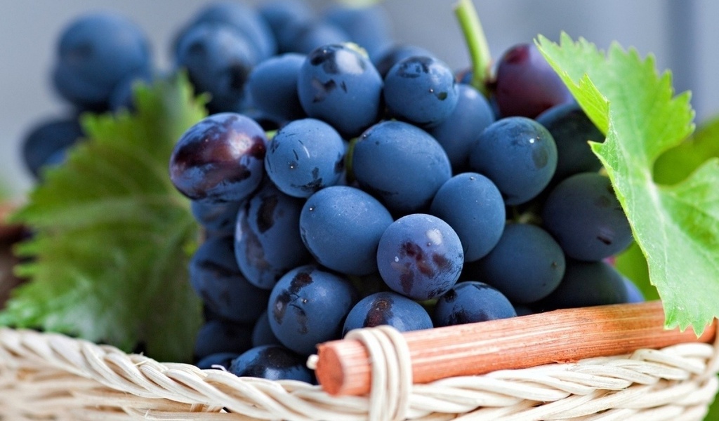 Синий виноград наиболее богатый источник витамина С и флаваноида рутизида, которые обладают антиатеросклеротическим эффектом