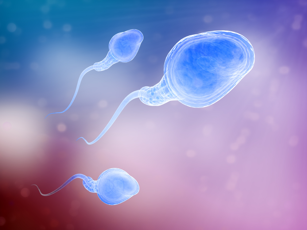 При сниженной активности, сперматозоиды не всегда достигают своей цели