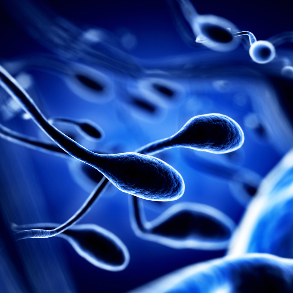 Сниженная активность сперматозоидов ведет к проблемам зачатия ребенка