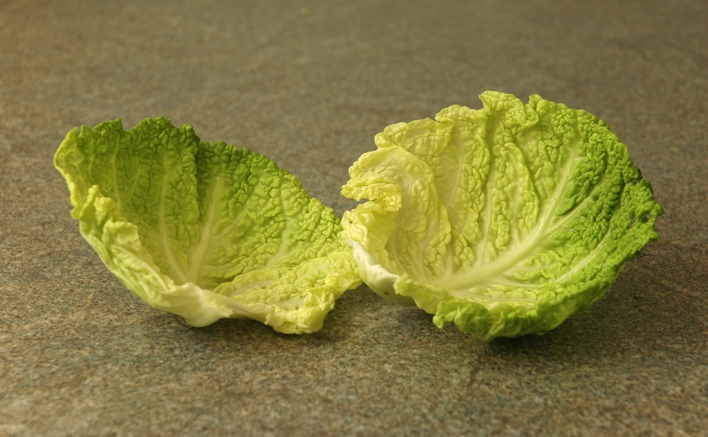 Размороженное мясо нужно завернуть в капустные листья, если его необходимо повторно положить в морозилку