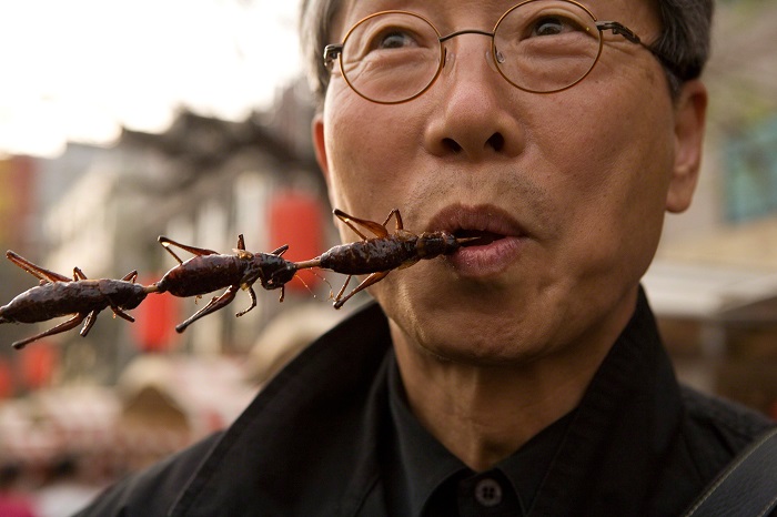 Китайский ресторан: едят даже тараканов