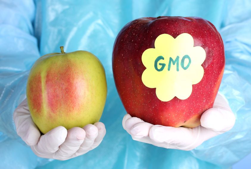 ГМО - генетически модифицированный организм.