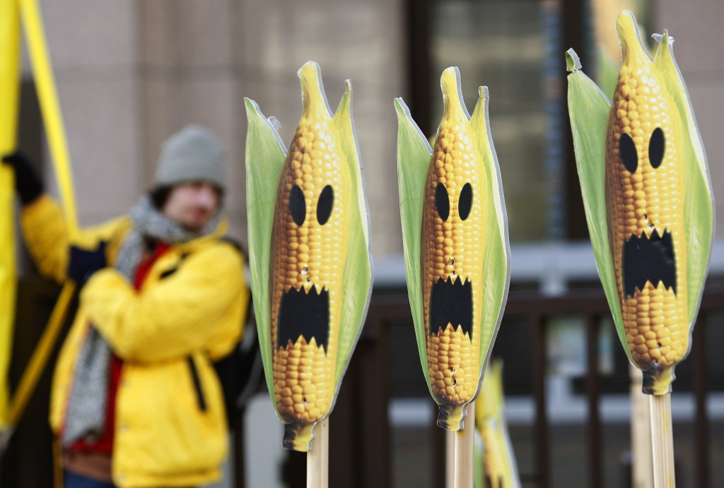 Безопасны ли ГМО-продукты для здоровья на самом деле?