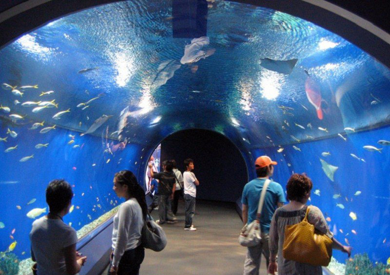 Удивительный аквариум