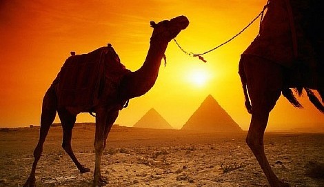 сувениры в египте