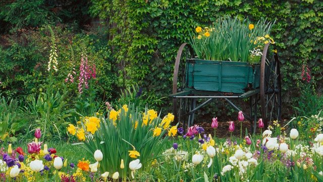 Правильно подкармливайте свой сад и он вам ответит буйным и красивым цветением