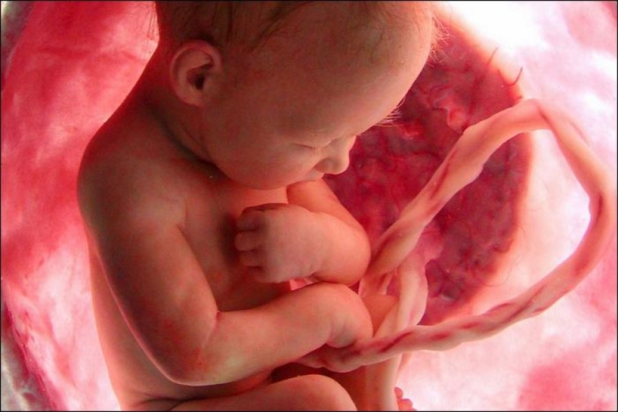 Так же фолиевая кислота препятсвует появлению различных патологий у малыша