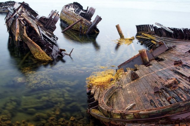 Cаргассово море: кладбище кораблей