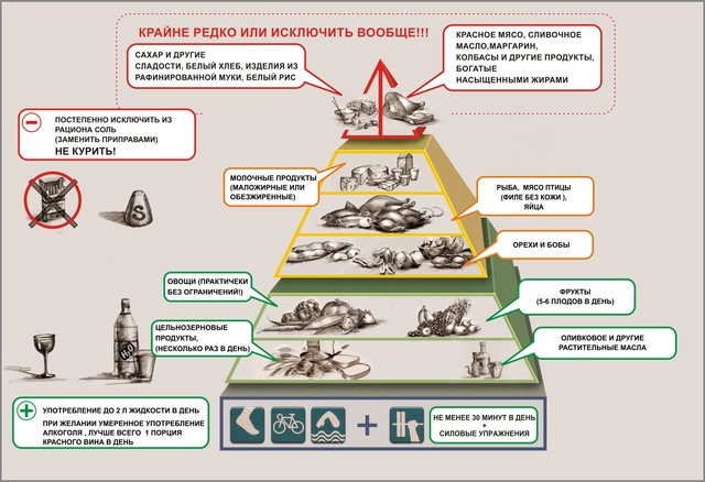 Пирамида рационального питания. 