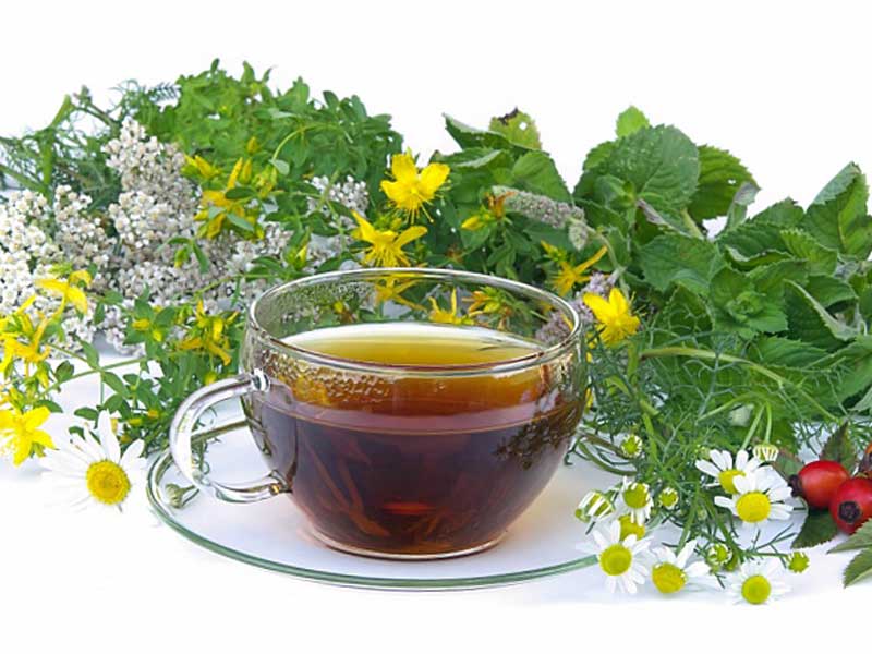 Чай из череды эффективен при лечении подагры 