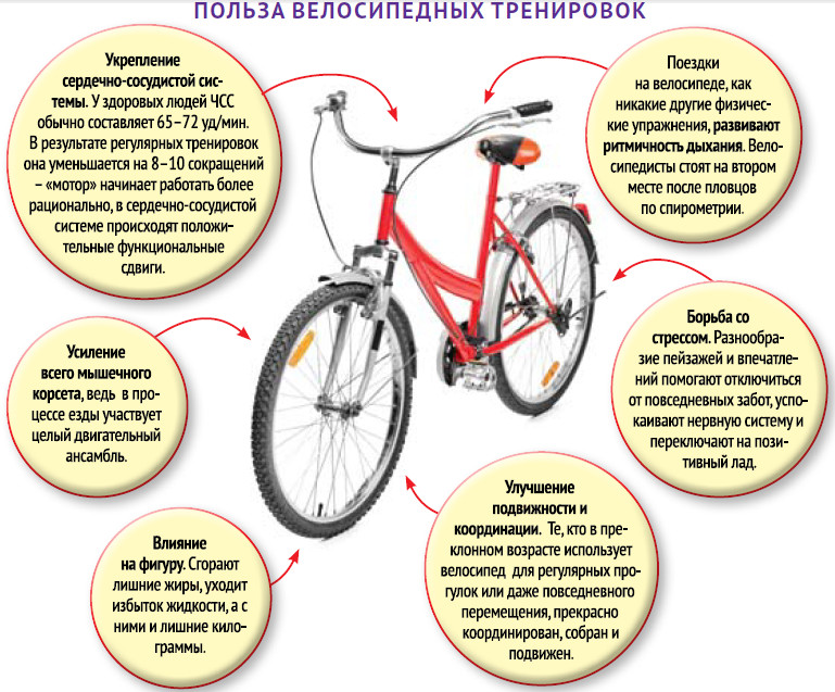 Какая же основная польза от велосипеда